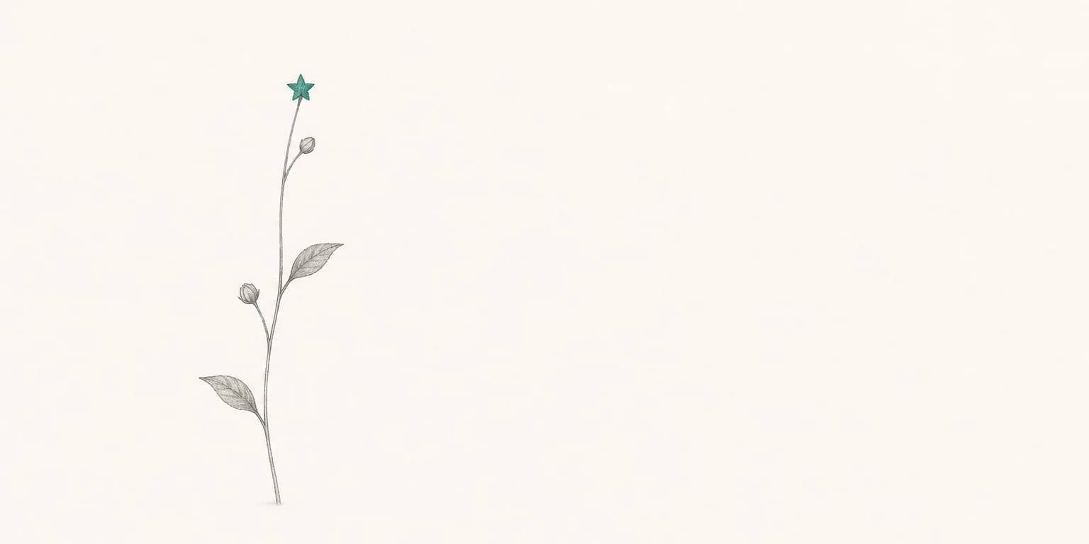 A thin graphite-line plant growing from the paper, a small teal star at its tip